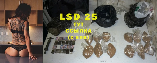 ECSTASY Бородино