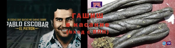 ECSTASY Бородино