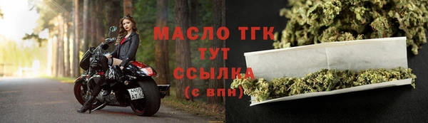 ECSTASY Бородино