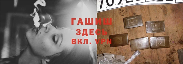 ECSTASY Бородино