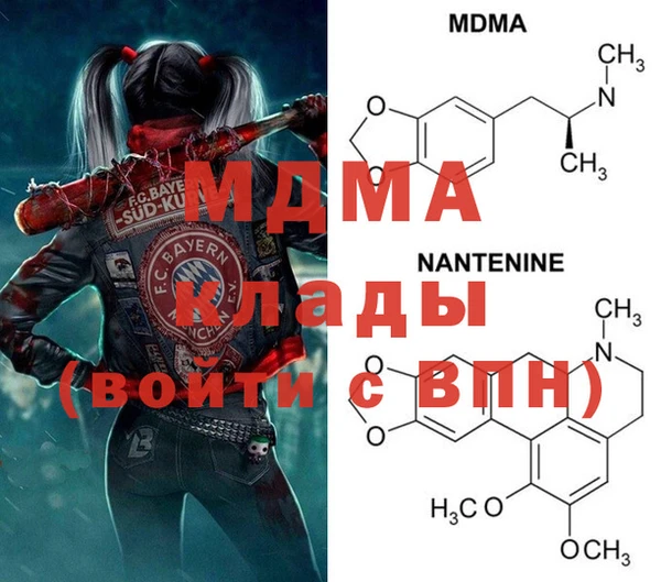 ECSTASY Бородино