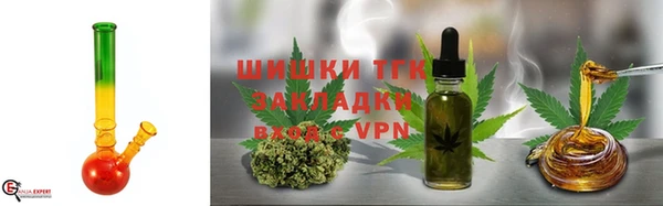 ECSTASY Бородино