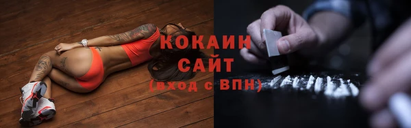 ECSTASY Бородино