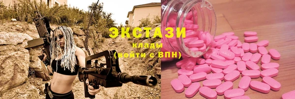 ECSTASY Бородино