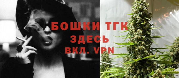 ECSTASY Бородино